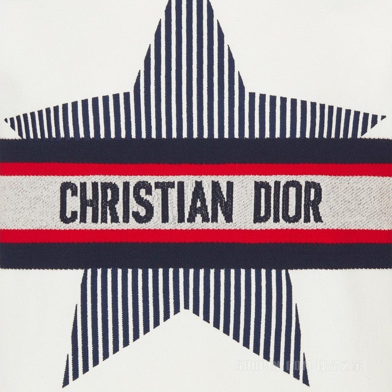 DiorAlps 连帽运动衫 白色棉质平纹针织面料三色 Dior Star 图案