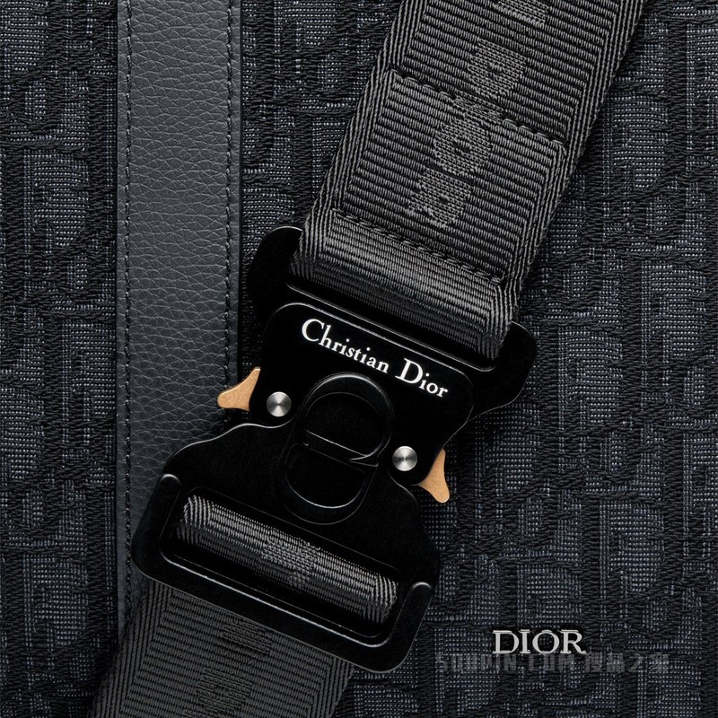 Dior Lingot 50 手袋 黑色 Oblique 印花
