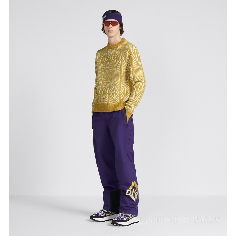 DIOR AND DESCENTE 滑雪裤 紫色科技帆布