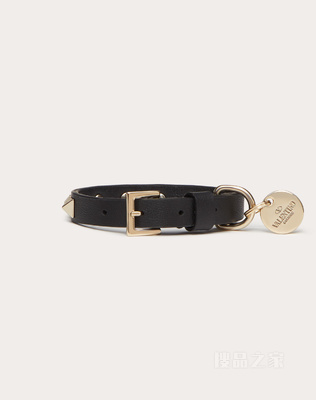 Rockstud Pet 宠物项圈 （宽 1.2 厘米）