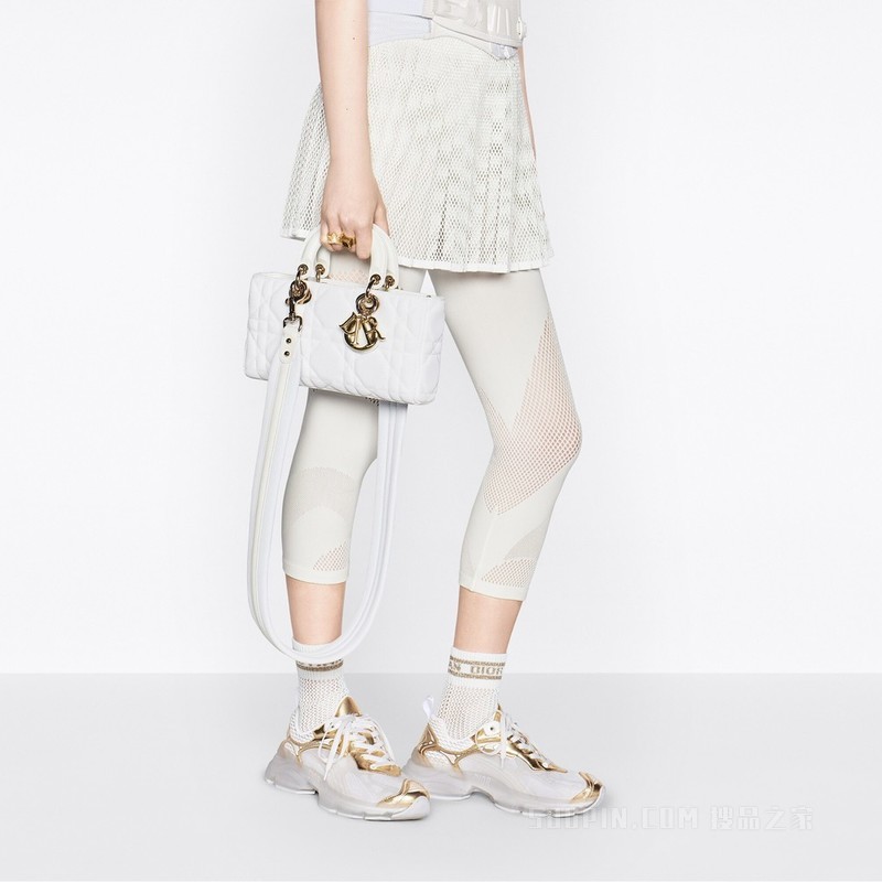 中号 Lady D-Joy 手袋 多色 Dior Jardin Botanique 图案刺绣