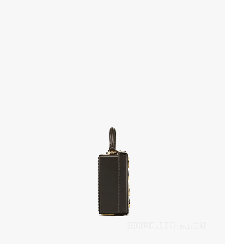 Small Berlin Gold Visetos皮革斜挎包