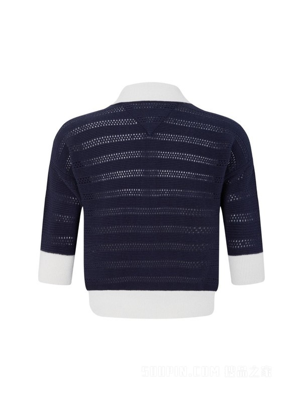 23新款春季女装复古镂空小绣标短款POLO针织衫DW0DW15560