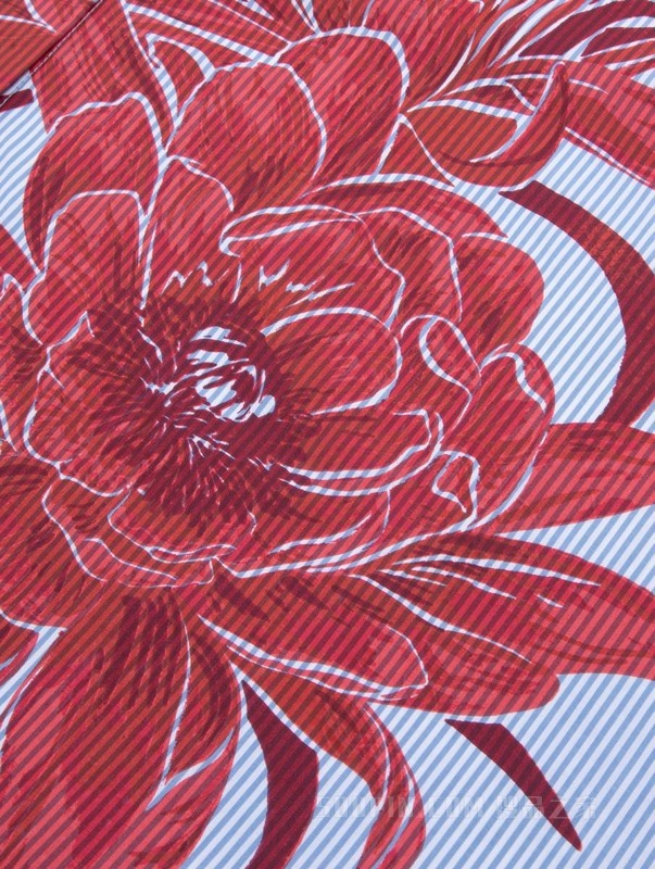 【Adaptive系列】23新款春夏女装纯棉系带印花衬衫裙76J4041