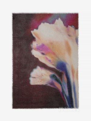 Luminous Flower Classic Skull丝巾