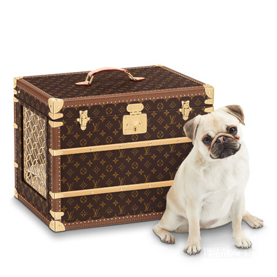 犬用宠物箱