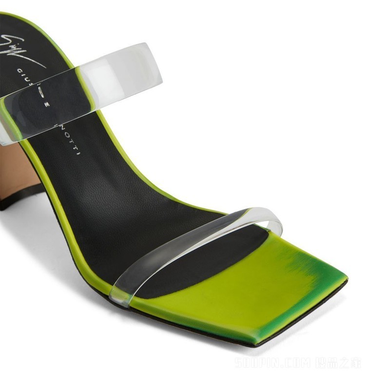 Flaminia Plexi