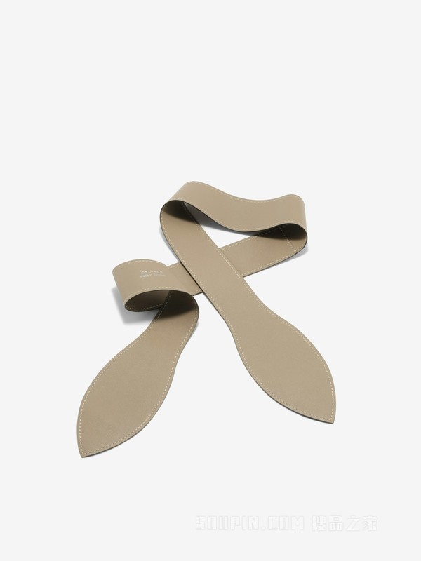 Handle Ribbon