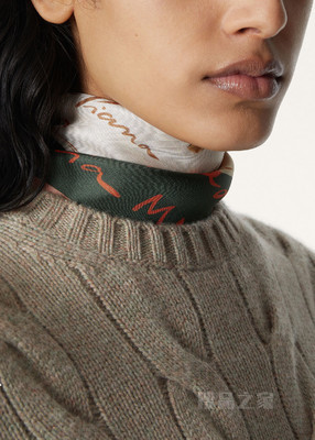 Enciclopedia della Maglia女士围巾 桑蚕丝