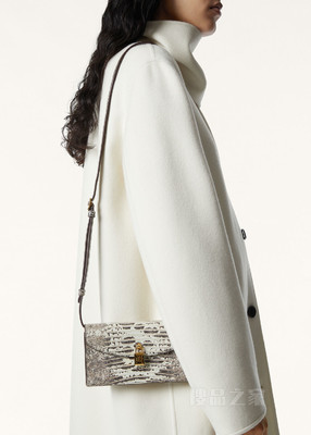 Extra Pochette 手拿包 Tejus皮革