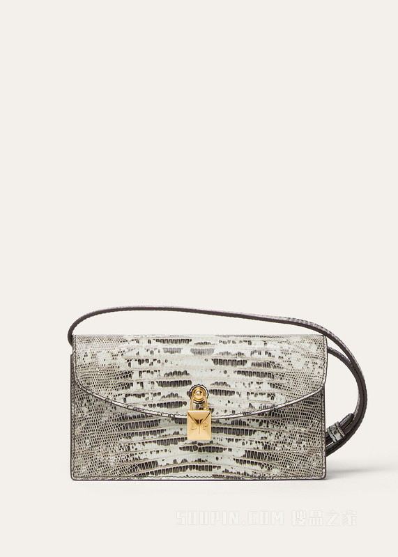 Extra Pochette 手拿包 Tejus皮革