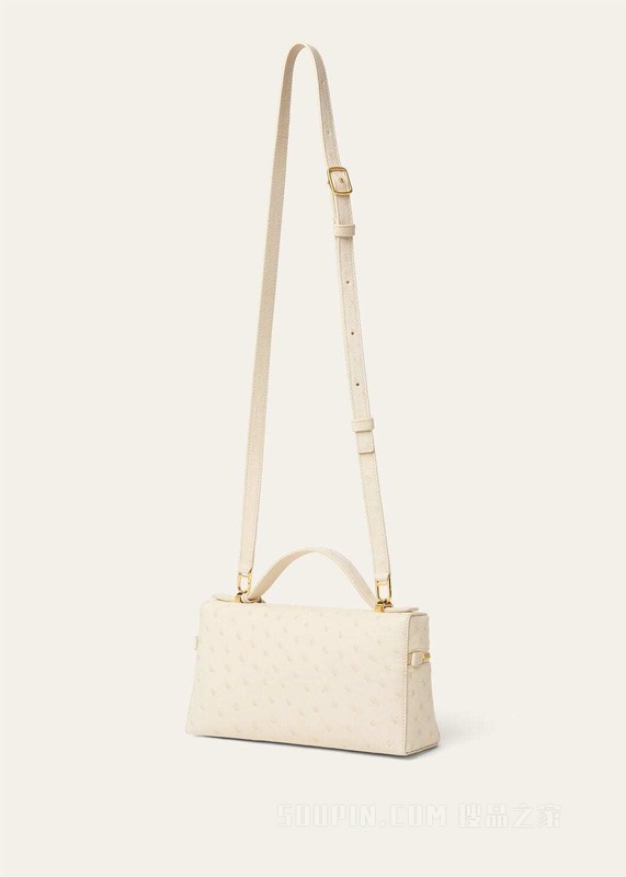 Extra Bag L23手袋 鸵鸟皮