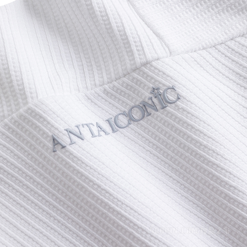 安踏生活系列ANTA ICONIC男子兰精天丝莫代尔短T